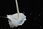 Kríza v sektore prvovýroby mlieka