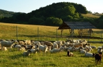 Papradno preslávila agroturistika