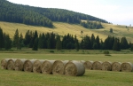 Žatva pokračovala na severe krajiny, poľné práce komplikujú výdatné lokálne búrky a víchrice