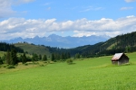 Žatva na väčšine Slovenska ukončená, prebieha príprava pôdy pod oziminy