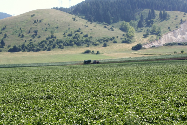 Pracovná skupina pre priame platby a greening, 28. marec 2019 