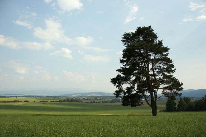 Pracovná skupina pre medzinárodné aspekty poľnohospodárstva, 8. apríl 2019