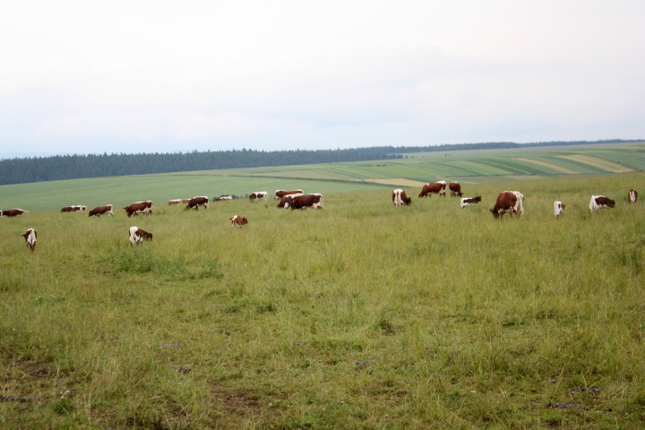 Monitoring jarných prác - 18. týždeň