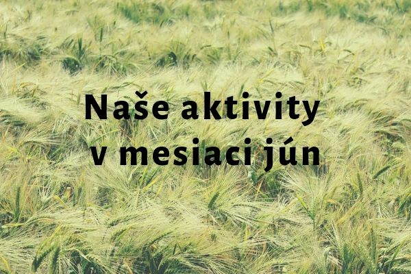 Naše aktivity v mesiaci jún