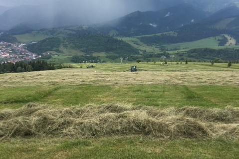 TÉMA TÝŽDŇA: LPIS a fotografie 