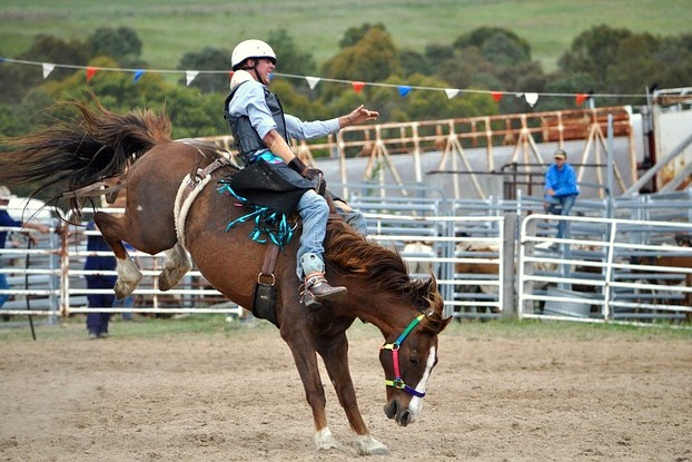 Farmár Fest 2019