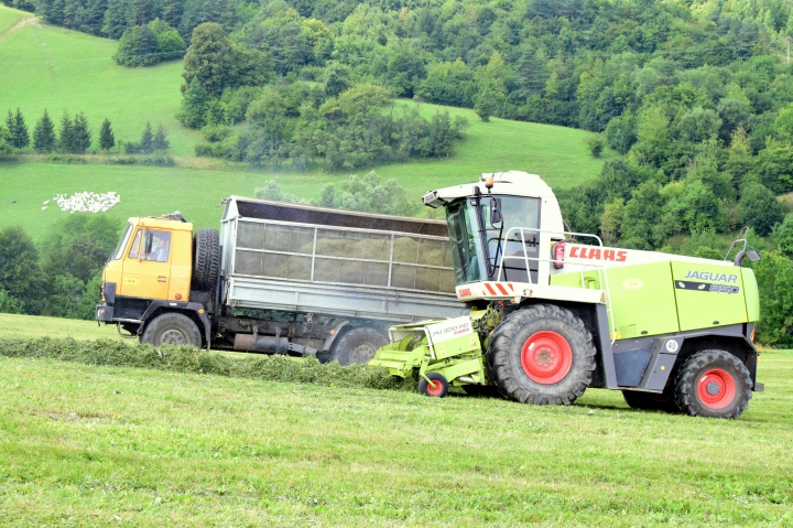 Žatva k 6. septembru 2019