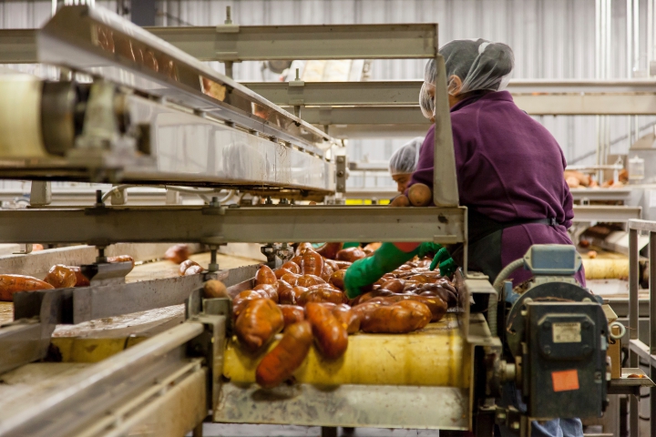 Priemerná mesačná mzda zamestnancov v potravinárskom priemysle v roku 2019