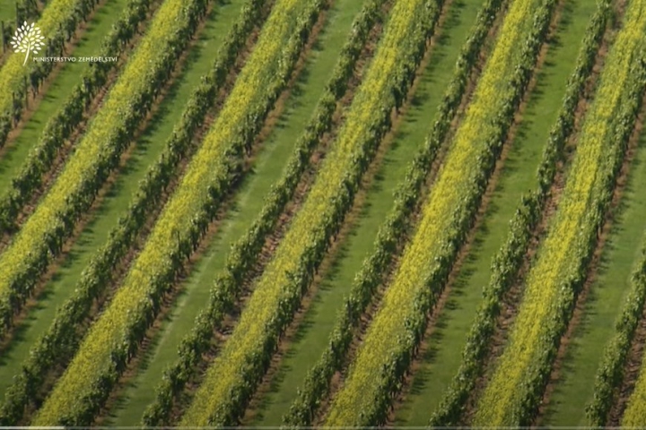 Hlavnú cenu festivalu Agrofilm 2019 získal český film „Zdravější krajina“