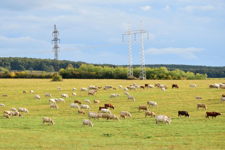 Pracovná skupina pre FARM EUROPE – Green Energy Platform (GEP),  7. októbra 2020