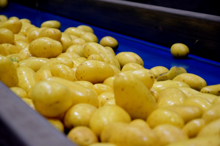 Pracovná skupina pre zemiaky,  2. novembra 2020