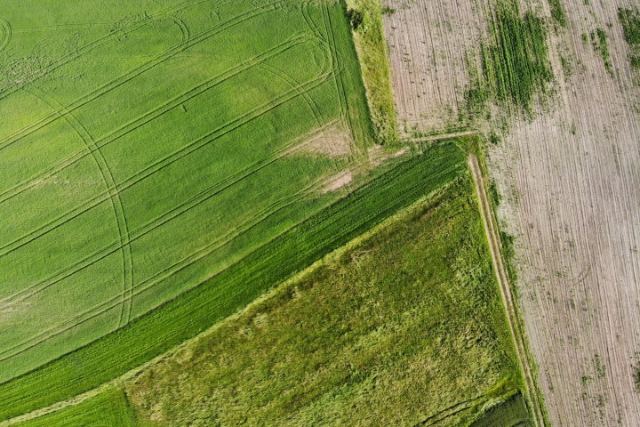 Žiadosti o priame podpory môžu žiadatelia podávať až do 11. júna