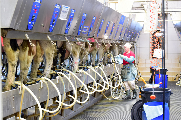 Pracovná skupina pre potraviny – označovanie krajiny pôvodu so zameraním na mlieko a mliečne výrobky,  25. mája 2021