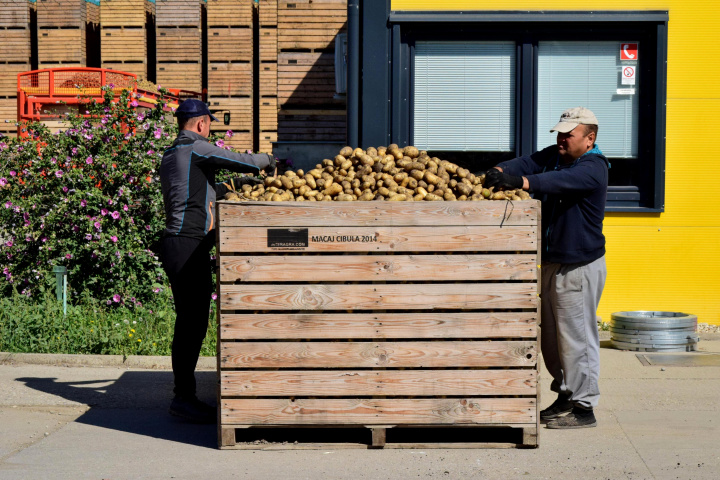 Pracovná skupina pre zemiaky,  8. septembra 2021