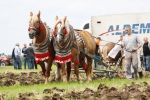 Kynológia, chov koní, jazdectvo, rybárstvo, agropodnikanie - farmárstvo