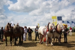 Agropodnikanie a farmárstvo