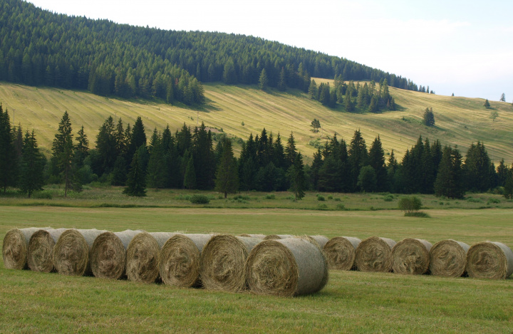 Pracovná skupina pre ekologické poľnohospodárstvo