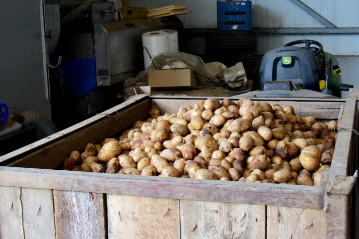 Pracovná skupina pre zemiaky, 23. januára 2023