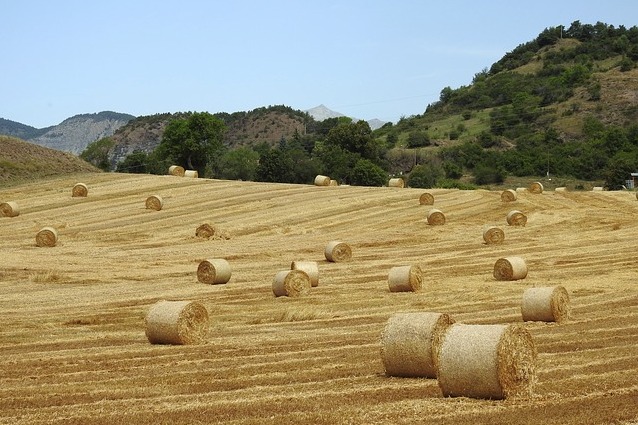 Prezídium COGECA, 1. decembra 2022