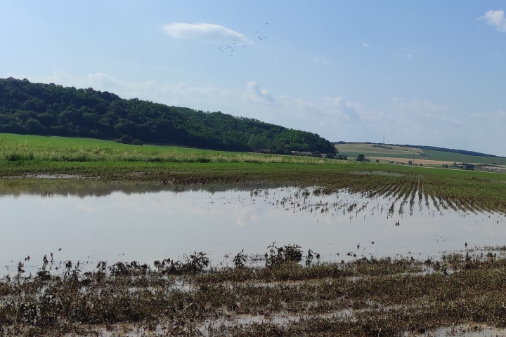 Vrtošivé počasie: Záplavy napáchali poľnohospodárom na Gemeri vysoké škody