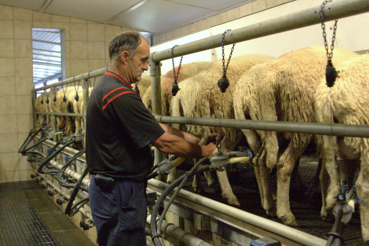 Krok vpred pri zamestnávaní ľudí z tretích krajín vďaka rozhodnutiu vlády 