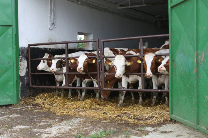 V PRV na roky 2014 až 2022 je k dispozícii ďalších 79 mil. eur