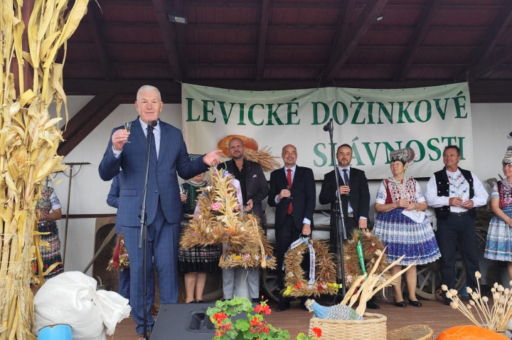 Levické dožinky