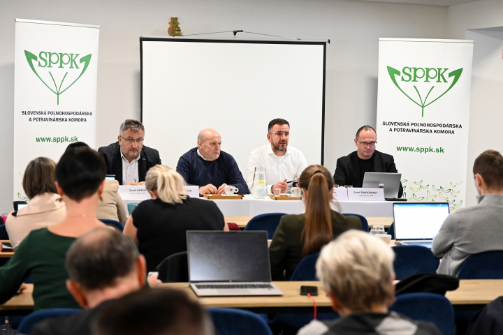 O preddavkoch aj na porade s regiónmi