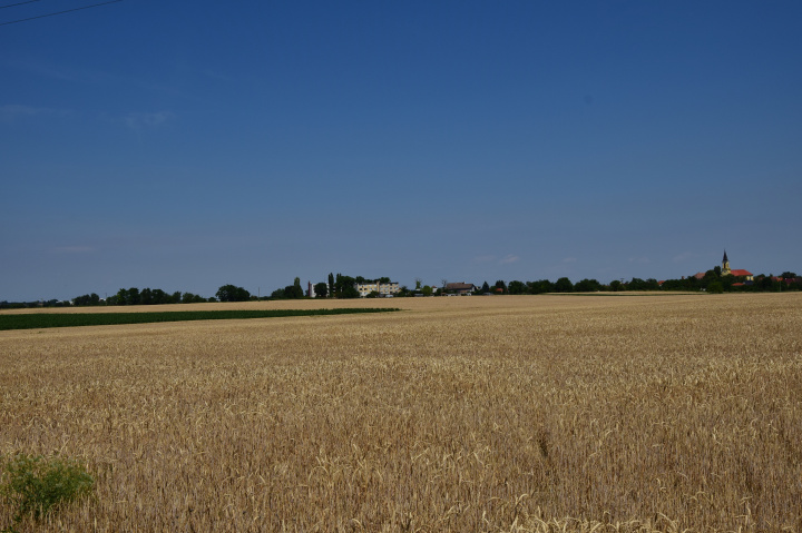 Víťazom súťaže Top Agro Slovensko je AgroDömötör Vlky