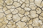 Sucho ohrozuje úrodu 