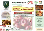 Pozvánka na Jablkový a kačací festival