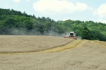 Žatevný výjazd v PD Mestečko, 24.7. 2018