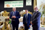 Levické dožinkové slávnosti 2019